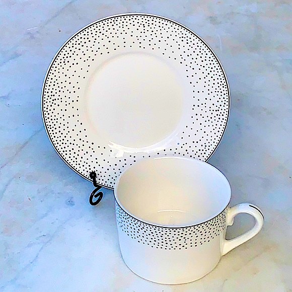 GRACES TEAWARE SILVER METALLIC MICRO DOTS FLAT CUP SAUCER SET NEW PORCELAIN - Picture 3 of 10